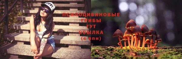гидра Беломорск