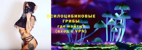 метадон Белокуриха