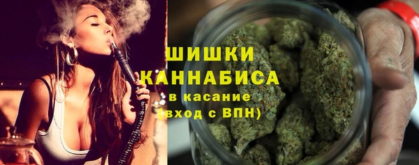 прущие грибы Елабуга