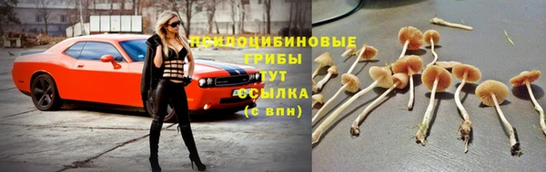СК Козельск