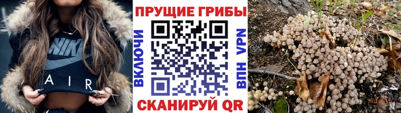 ОМГ ОМГ зеркало  Буинск  Псилоцибиновые грибы мухоморы 